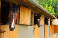 free Coed Mawr stable construction quotes